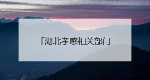 湖北孝感相关部门回应“一男子称被交警打断9根肋骨未立案”：已成立联合专班开展工作