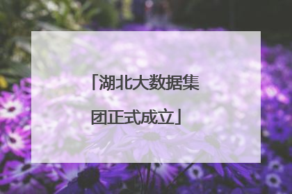 湖北大数据集团正式成立