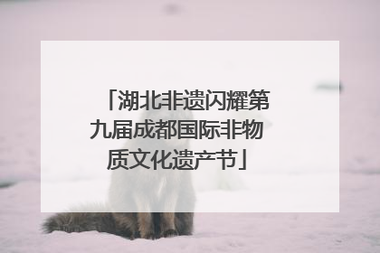 湖北非遗闪耀第九届成都国际非物质文化遗产节