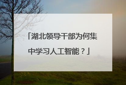 湖北领导干部为何集中学习人工智能？