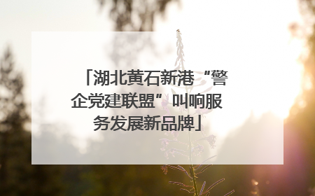湖北黄石新港“警企党建联盟”叫响服务发展新品牌