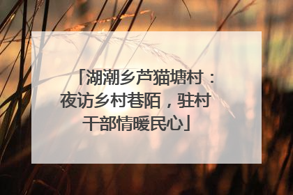 湖潮乡芦猫塘村：夜访乡村巷陌，驻村干部情暖民心