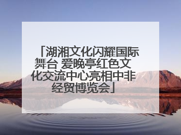 湖湘文化闪耀国际舞台 爱晚亭红色文化交流中心亮相中非经贸博览会