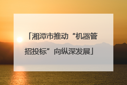 湘潭市推动“机器管招投标”向纵深发展