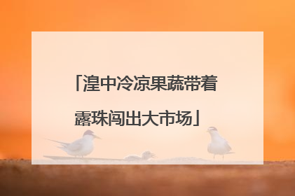 湟中冷凉果蔬带着露珠闯出大市场