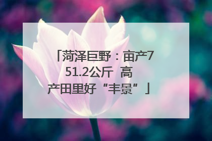 菏泽巨野：亩产751.2公斤  高产田里好“丰景”