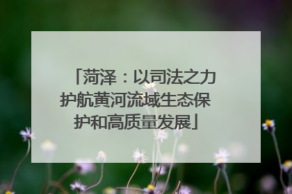 菏泽：以司法之力护航黄河流域生态保护和高质量发展