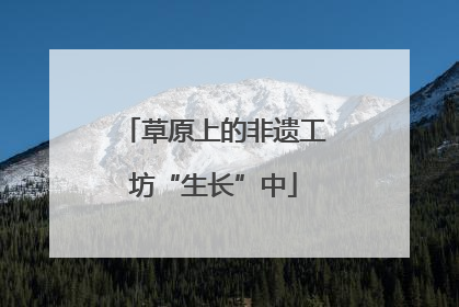 草原上的非遗工坊“生长”中