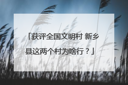 获评全国文明村 新乡县这两个村为啥行？