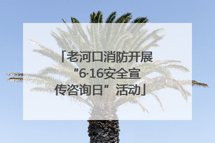 老河口消防开展“6·16安全宣传咨询日”活动