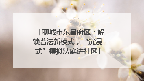 聊城市东昌府区：解锁普法新模式，“沉浸式”模拟法庭进社区