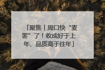 聚焦丨周口快“麦罢”了！收成好于上年、品质高于往年