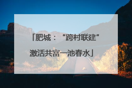 肥城：“跨村联建”激活共富一池春水