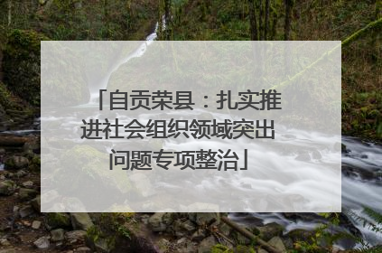 自贡荣县：扎实推进社会组织领域突出问题专项整治