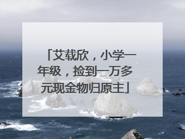 艾载欣，小学一年级，捡到一万多元现金物归原主