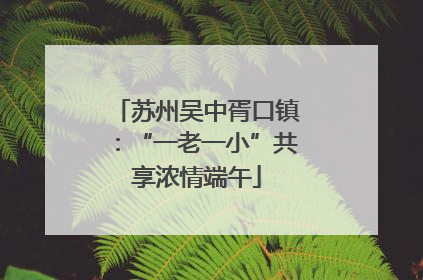 苏州吴中胥口镇：“一老一小”共享浓情端午