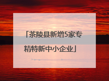 茶陵县新增5家专精特新中小企业