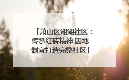 萧山区湘湖社区：传承红砖精神 因地制宜打造完整社区