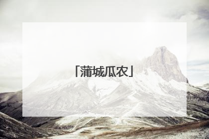 蒲城瓜农