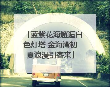 蓝紫花海邂逅白色灯塔 金海湾初夏浪漫引客来