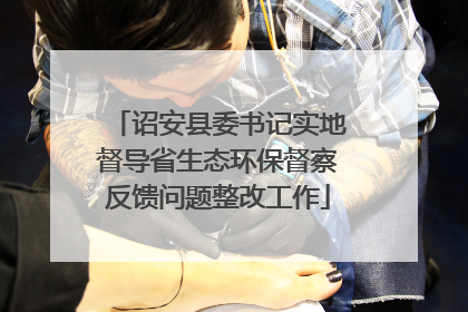 诏安县委书记实地督导省生态环保督察反馈问题整改工作