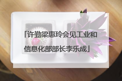 许勤梁惠玲会见工业和信息化部部长李乐成