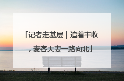 记者走基层｜追着丰收，麦客夫妻一路向北