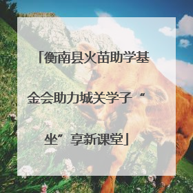 衡南县火苗助学基金会助力城关学子“坐”享新课堂