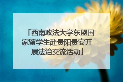 西南政法大学东盟国家留学生赴贵阳贵安开展法治交流活动