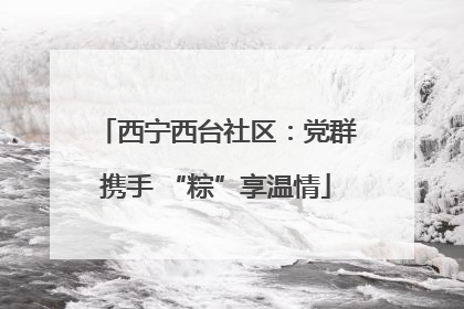 西宁西台社区：党群携手 “粽”享温情