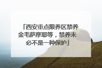 西安重点限养区禁养金毛萨摩耶等，禁养未必不是一种保护