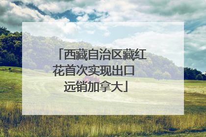 西藏自治区藏红花首次实现出口 远销加拿大