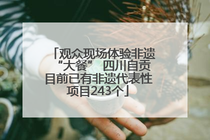 观众现场体验非遗“大餐” 四川自贡目前已有非遗代表性项目243个