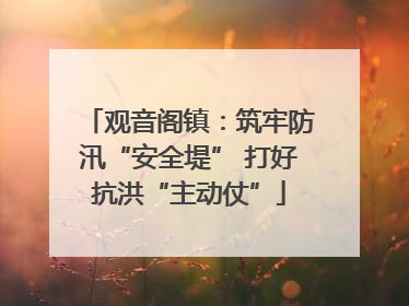 观音阁镇：筑牢防汛“安全堤” 打好抗洪“主动仗”