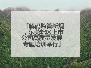 解码监管新规，东莞辖区上市公司高质量发展专题培训举行