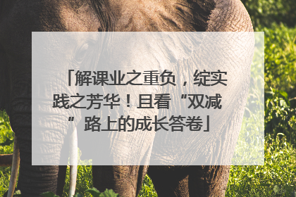 解课业之重负，绽实践之芳华！且看“双减”路上的成长答卷