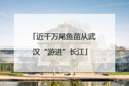 近千万尾鱼苗从武汉“游进”长江