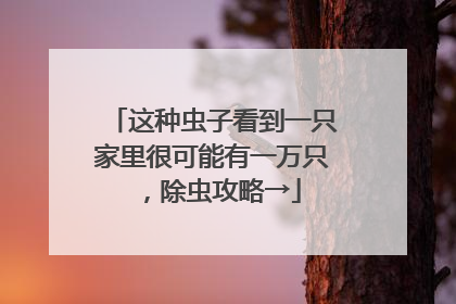 这种虫子看到一只家里很可能有一万只，除虫攻略→