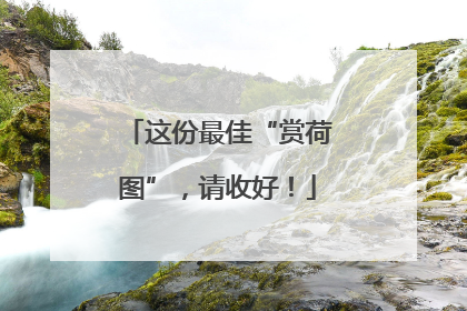 这份最佳“赏荷图”，请收好！