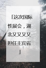这次国际性展会，湖北又又又又担任主宾省