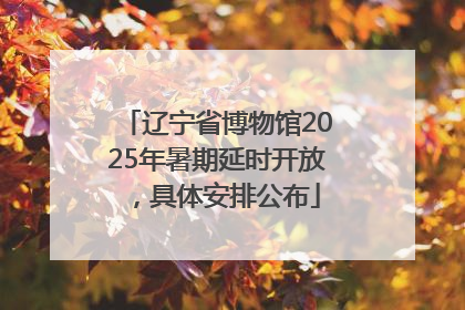 辽宁省博物馆2025年暑期延时开放，具体安排公布