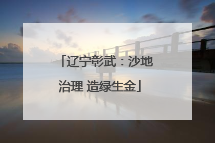 辽宁彰武：沙地治理 造绿生金