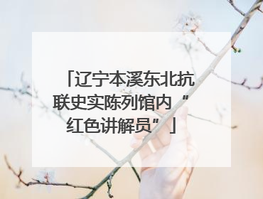 辽宁本溪东北抗联史实陈列馆内“红色讲解员”