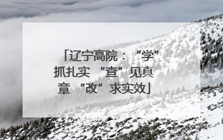 辽宁高院：“学”抓扎实 “查”见真章 “改”求实效