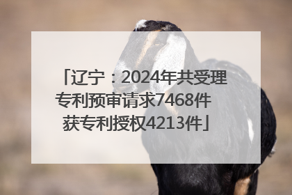 辽宁：2024年共受理专利预审请求7468件 获专利授权4213件