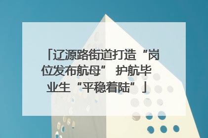 辽源路街道打造“岗位发布航母” 护航毕业生“平稳着陆”