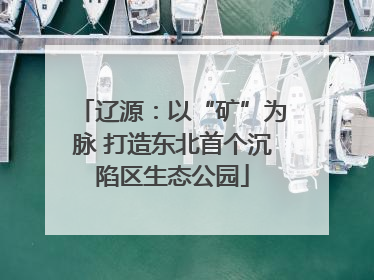 辽源：以“矿”为脉 打造东北首个沉陷区生态公园