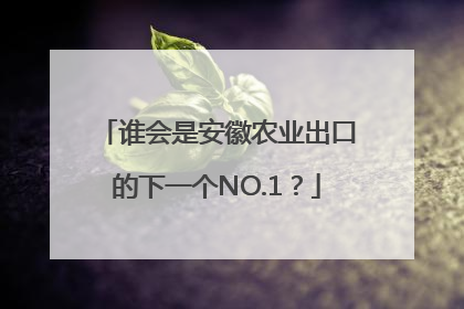 谁会是安徽农业出口的下一个NO.1？