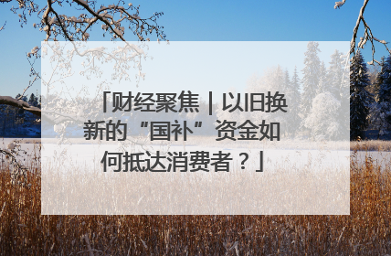 财经聚焦｜以旧换新的“国补”资金如何抵达消费者？