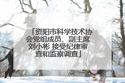 资阳市科学技术协会党组成员、副主席刘小彬 接受纪律审查和监察调查